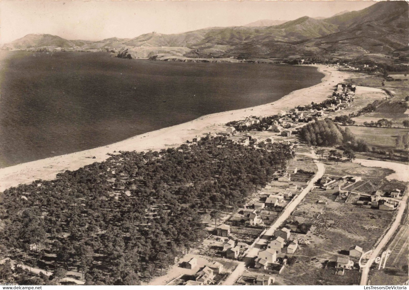 FRANCE - Roussillon - Vue Aérienne - Plage - Le Rancou Et Les Montagnes- Carte Postale Ancienne - Autres & Non Classés