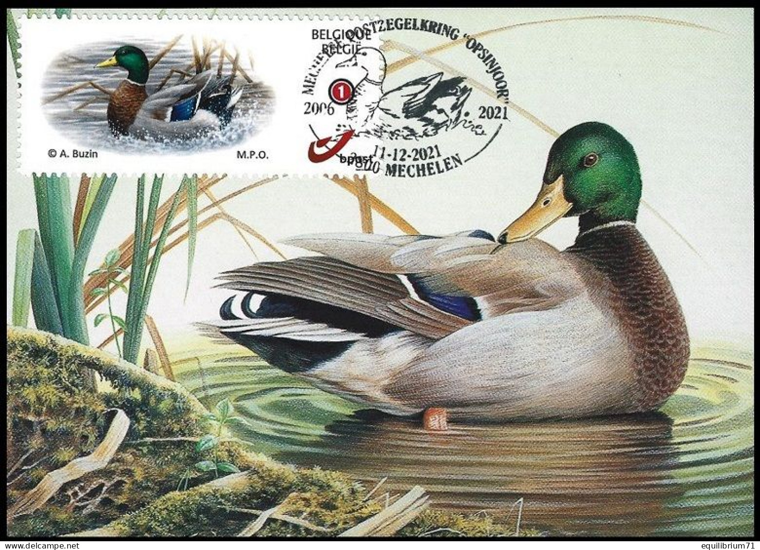 CM / MK (G) - DUOSTAMP° / MY STAMP° - BUZIN - Canard Colvert / Wilde Eend / Stockente / Mallard Duck - MPO - Briefe U. Dokumente