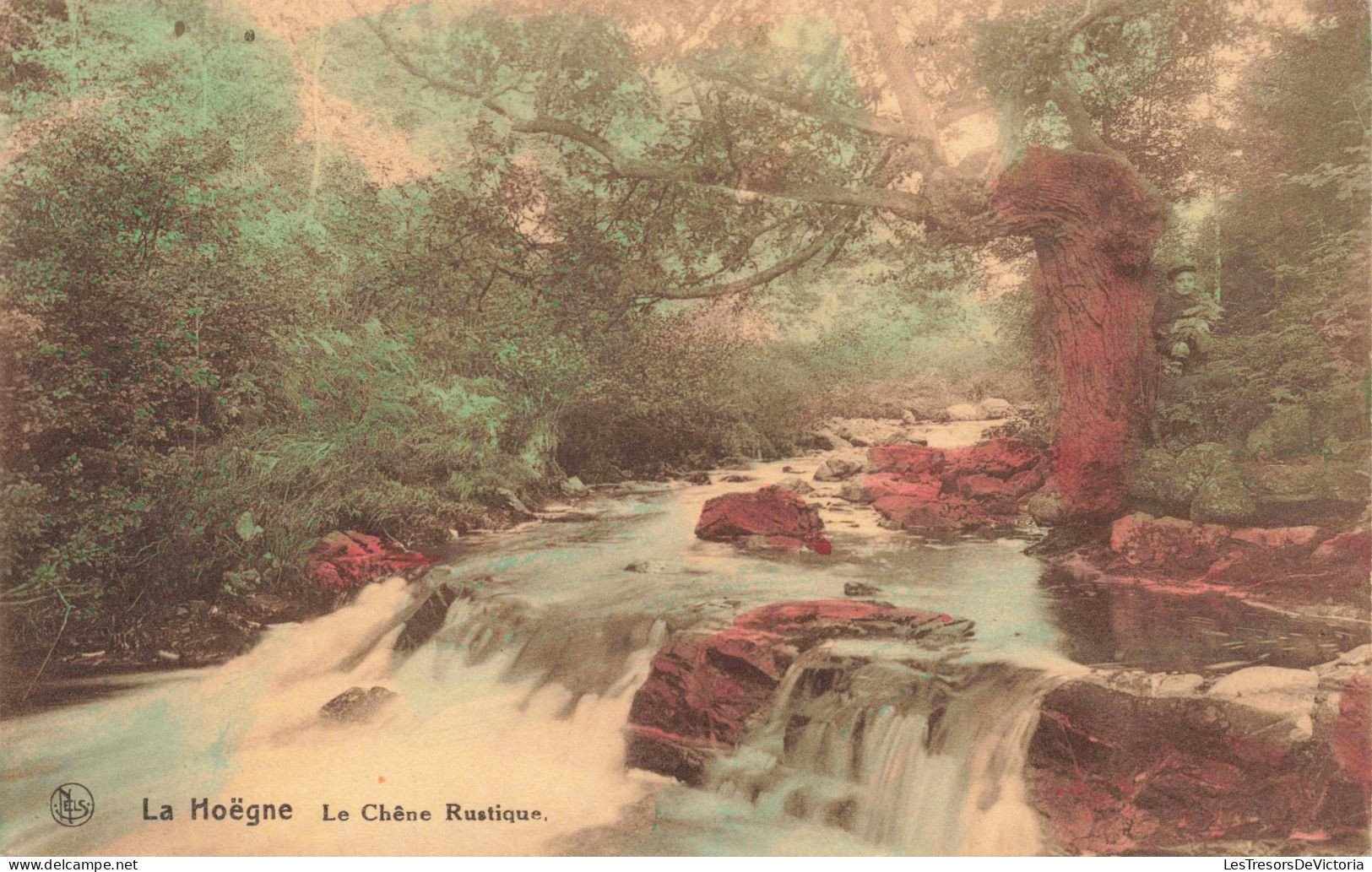 BELGIQUE - Liège - La Hoëgne - Le Chêne Rustique - Colorisé - Carte Postale Ancienne - Other & Unclassified