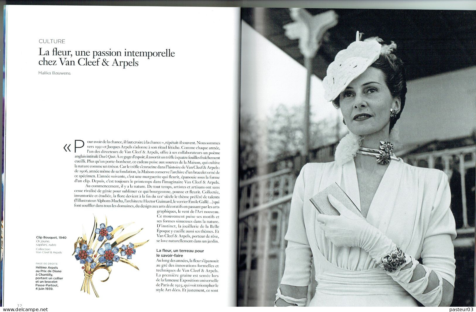 Catalogue Exposition Florae Van Cleef Et Arpels Photos Mika NINAGAWA 20 Pages Format 22 X 29,7 Cms - Altri & Non Classificati