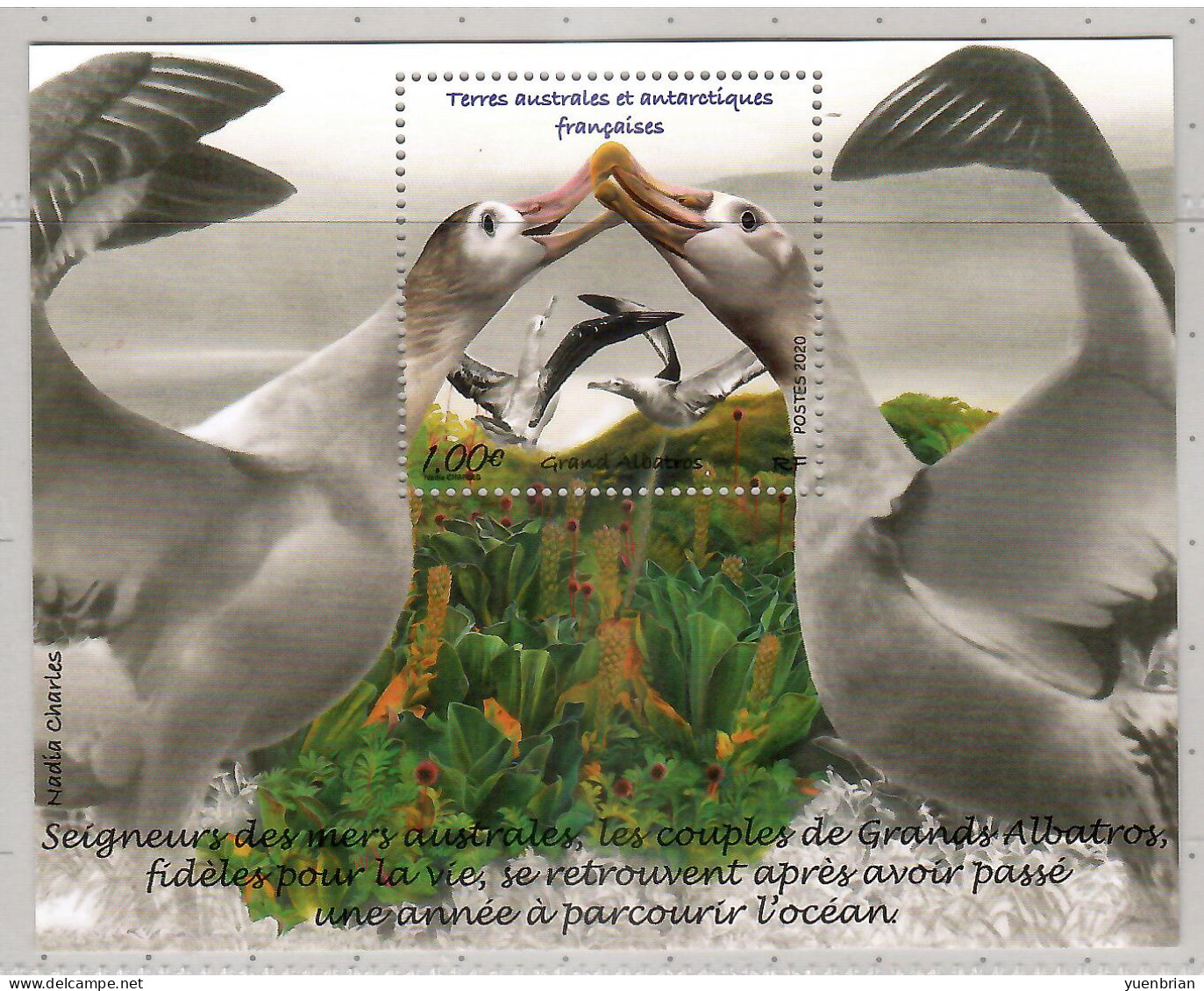 TAAF 2020, Bird, Birds, Albatross, M/S, MNH** - Pingouins & Manchots