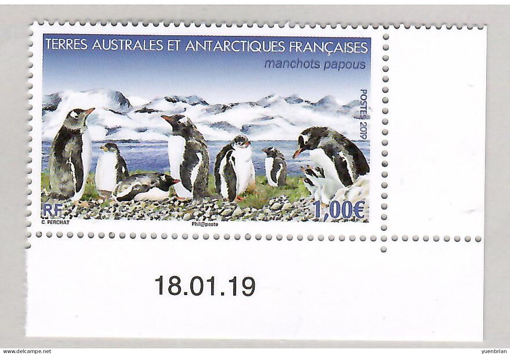 TAAF 2019, Bird, Birds, Penguin, 1v, MNH** - Pingouins & Manchots