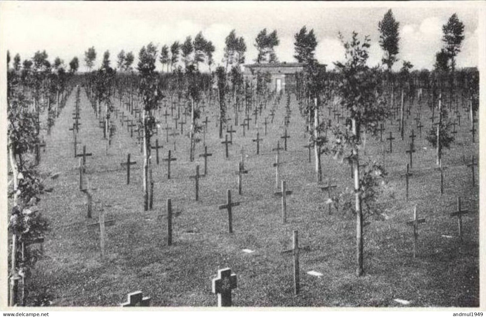 LANGEMARCK - Duitsch Krijgskerkhof - Thill - Langemark-Poelkapelle