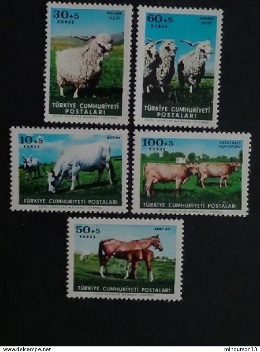 1964 TURQUIE Y&T N° 1699 à 1703 ** - ELEVAGE, SUJETS DIVERS - Unused Stamps
