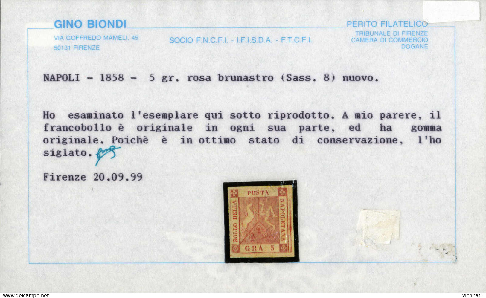 * 1858, 5 Gr. Rosa Brunastro I Tavola, Nuovo Con Gomma Originale, Cert. Biondi, Sass. 8 / 12000,- Michel 4 - Naples