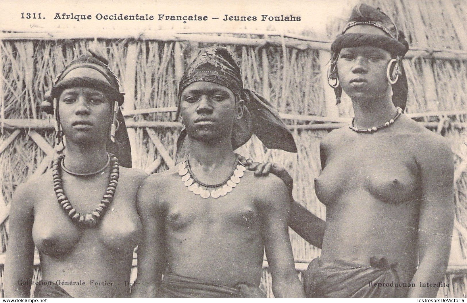 SENEGAL - Dakar - Jeunes Foulahs - Seins Nus - Carte Postale Ancienne - - Sénégal