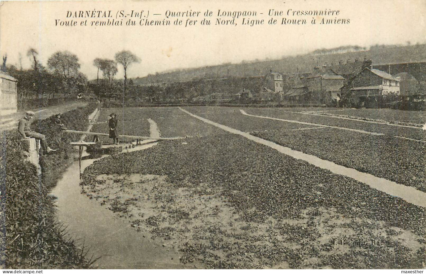 DARNÈTAL  Quartier De Longpaon, Une Cressonnière - Darnétal