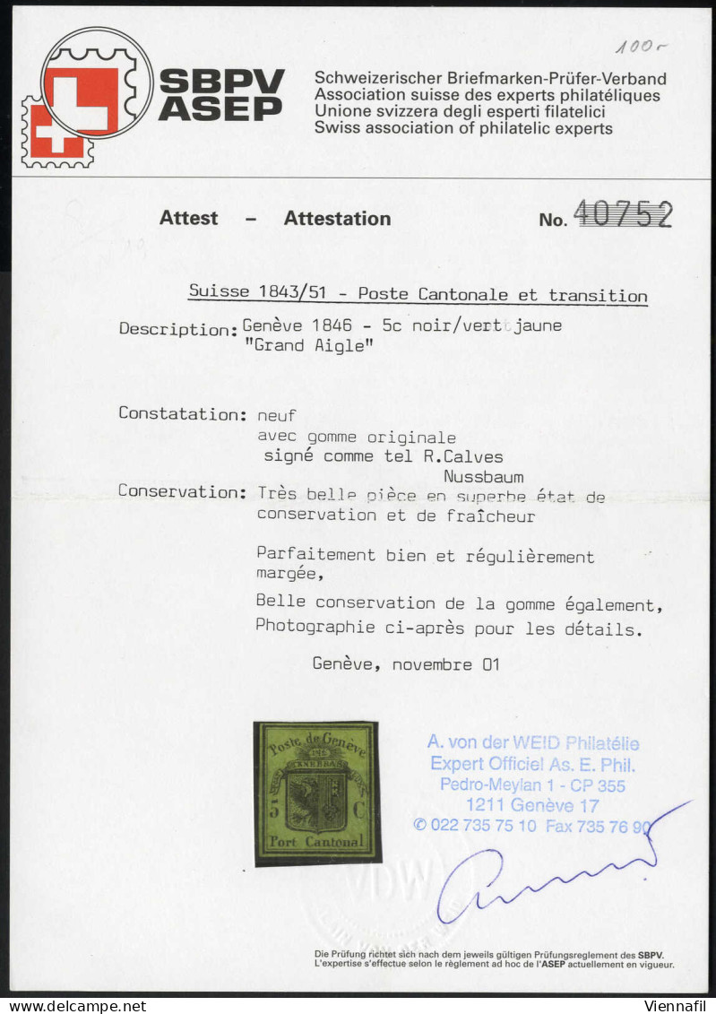 * 1846, 5 C Schwarz Auf Lebhaftgelboliv Ungebraucht Mit Originalgummi, Signiert Calves Und Nussbaum, Attest Von Der Weid - Autres & Non Classés