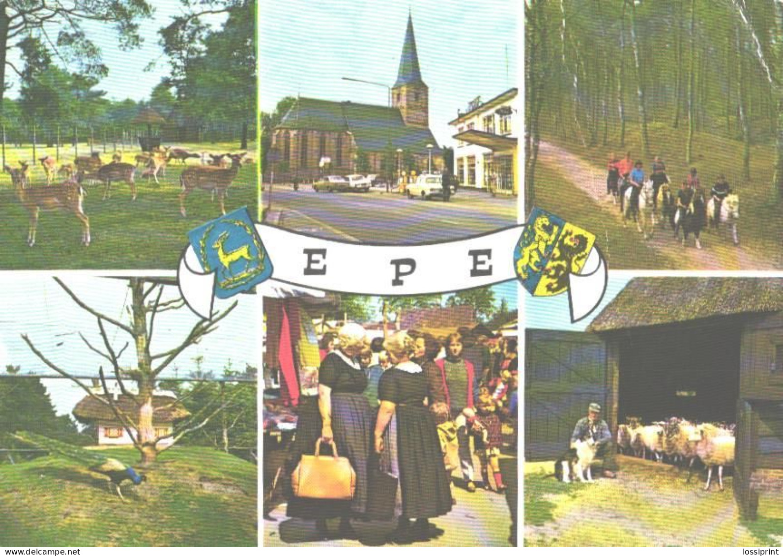 Netherlands:Holland:Epe Vies, Church, Deers, Lambs, Peacock, National Costumes - Epe