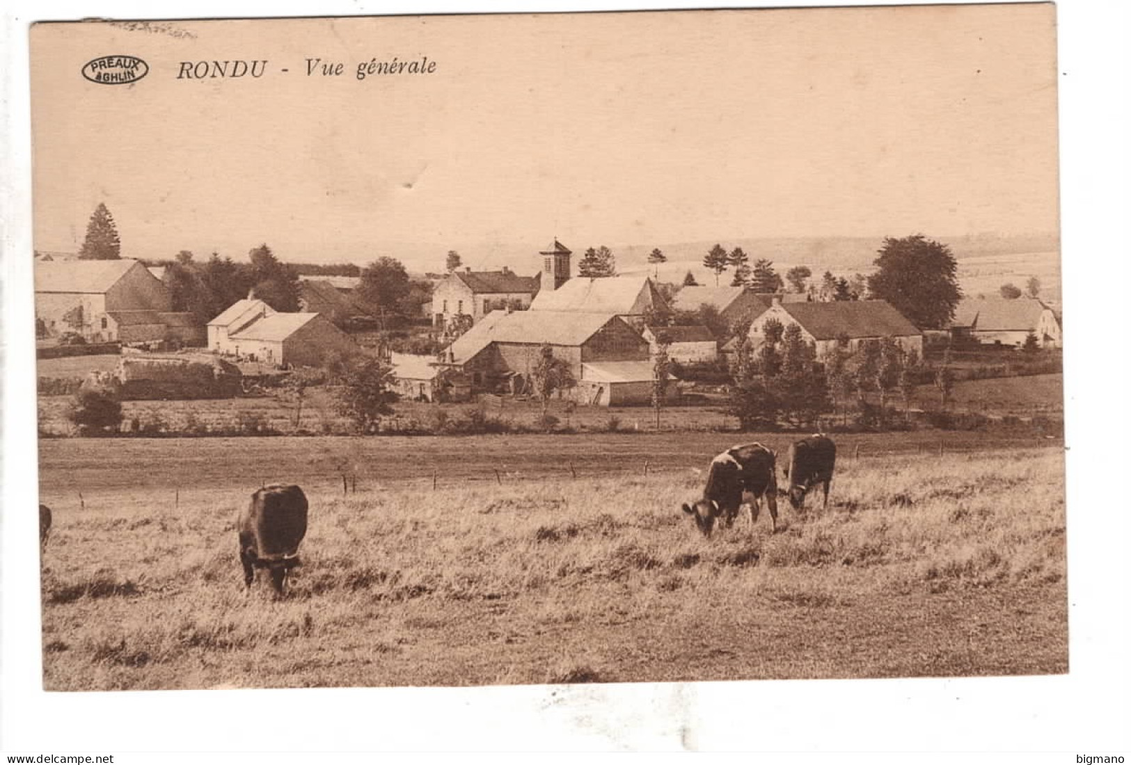 Rondu Vue Générale - Libramont-Chevigny