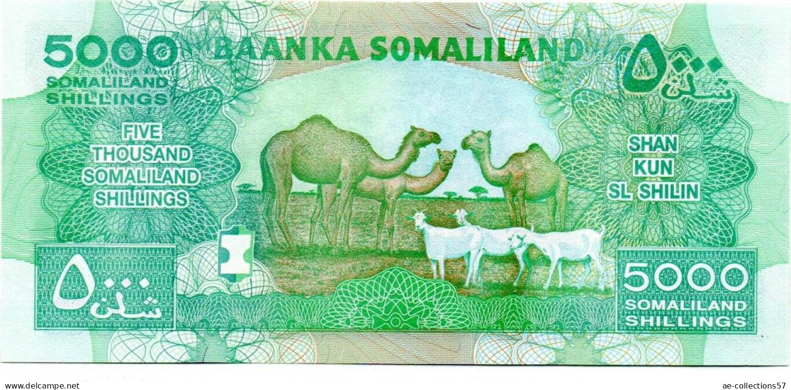 MA 18824  / Somaliland 5000 Shillings 2011 SPL - Somalië