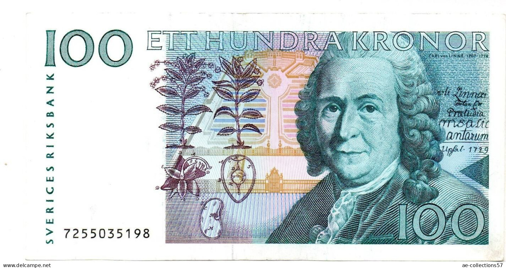 MA 24401  / Suède - Sweden -Schweden 100 Kronor TTB - Suède