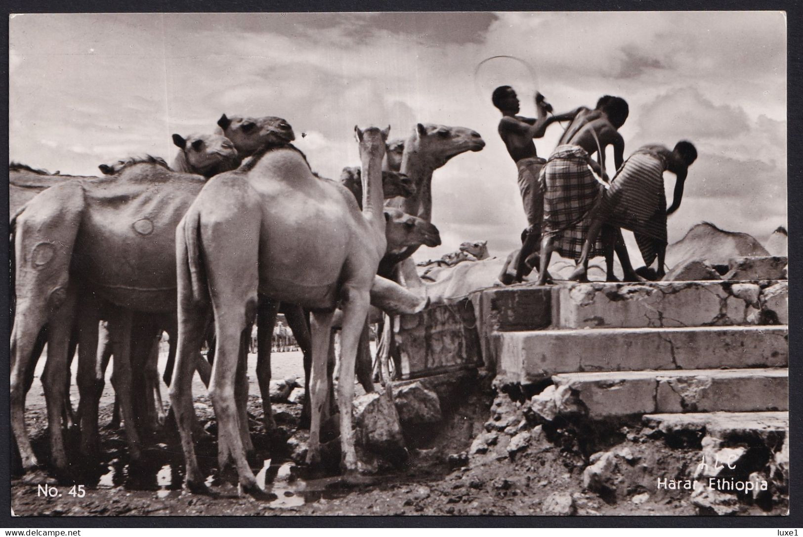 ETHIOPIA  ,  HARAR ,     OLD  POSTCARD - Ethiopie