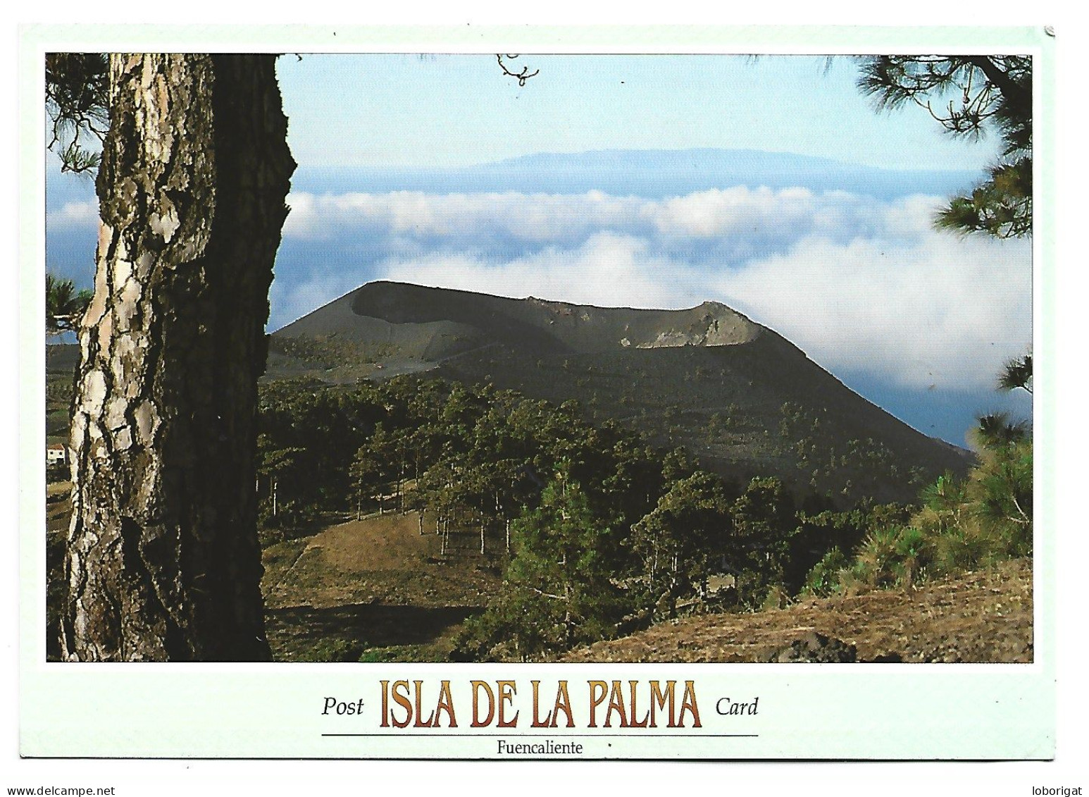 VOLCAN DE SAN ANTONIO.-  ISLA DE LA PALMA / ISLAS CANARIAS.- ( ESPAÑA ) - La Palma