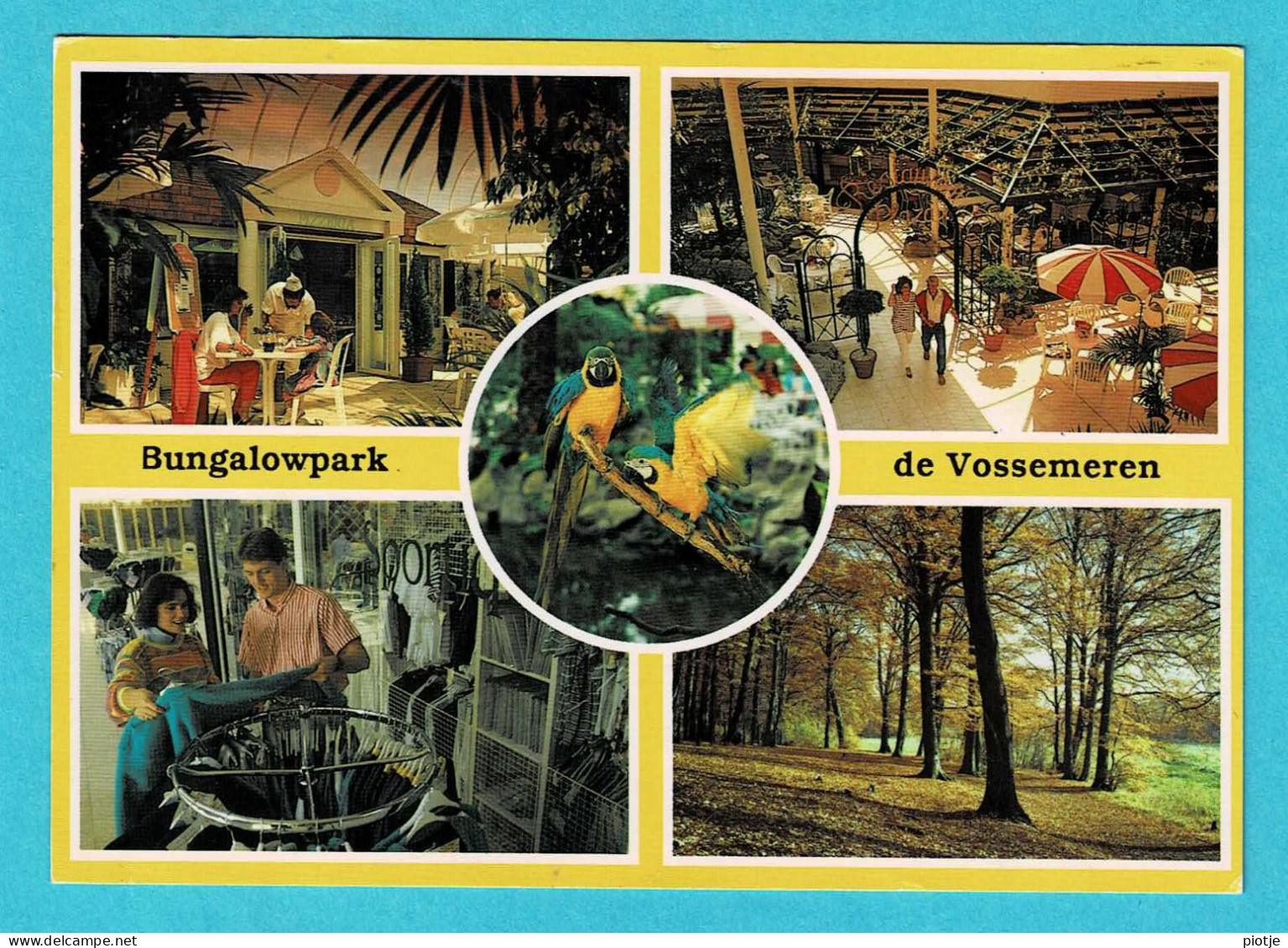 * Lommel (Limburg) * Center Parcs De Vossemeren, Bungalow Park, Piscine, Zwembad, Swimming Pool, Papegaai - Lommel