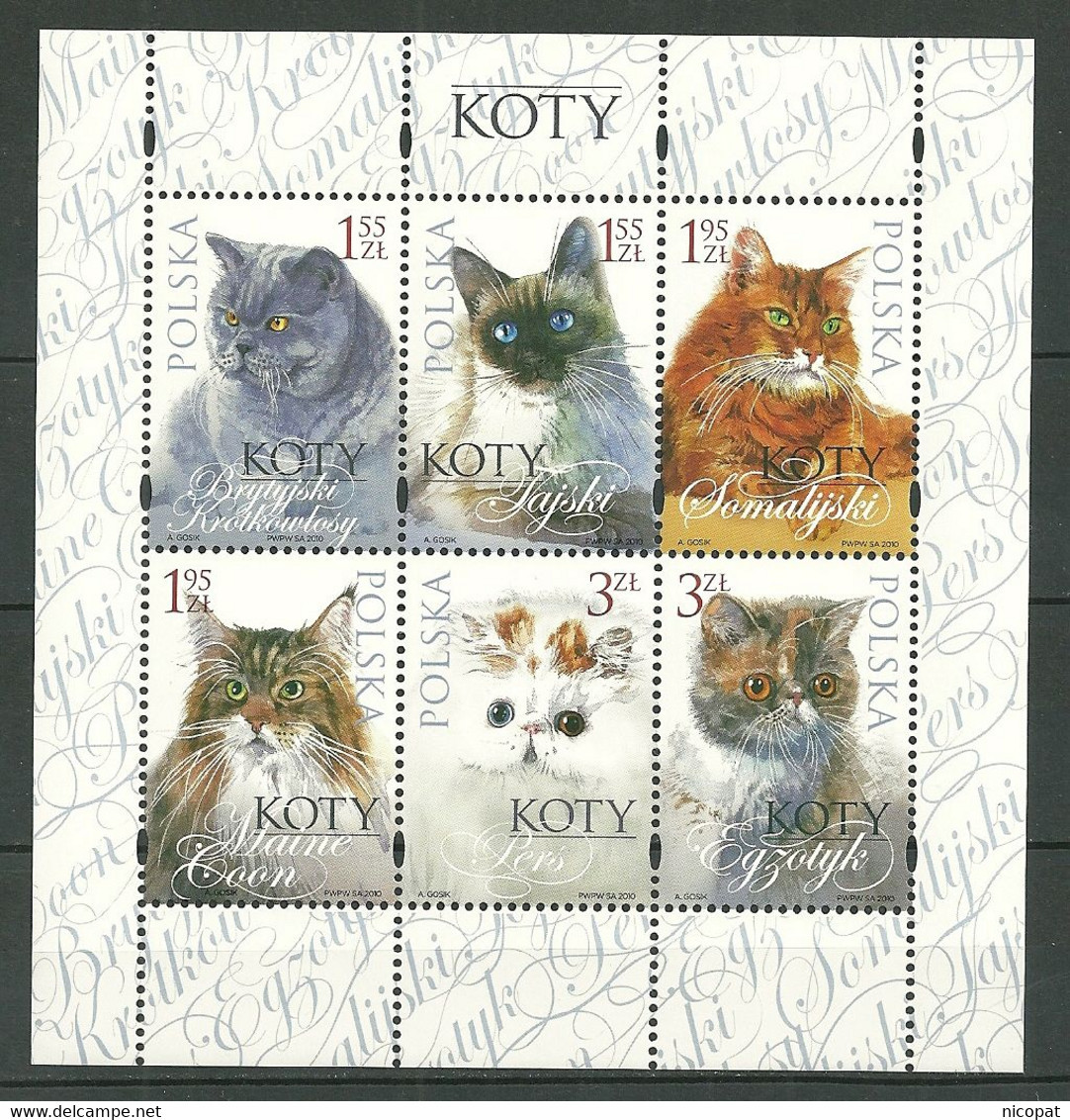 POLAND MNH ** 4193-4198 Chat Chats Cat Cats Animaux Animals Faune - Nuevos