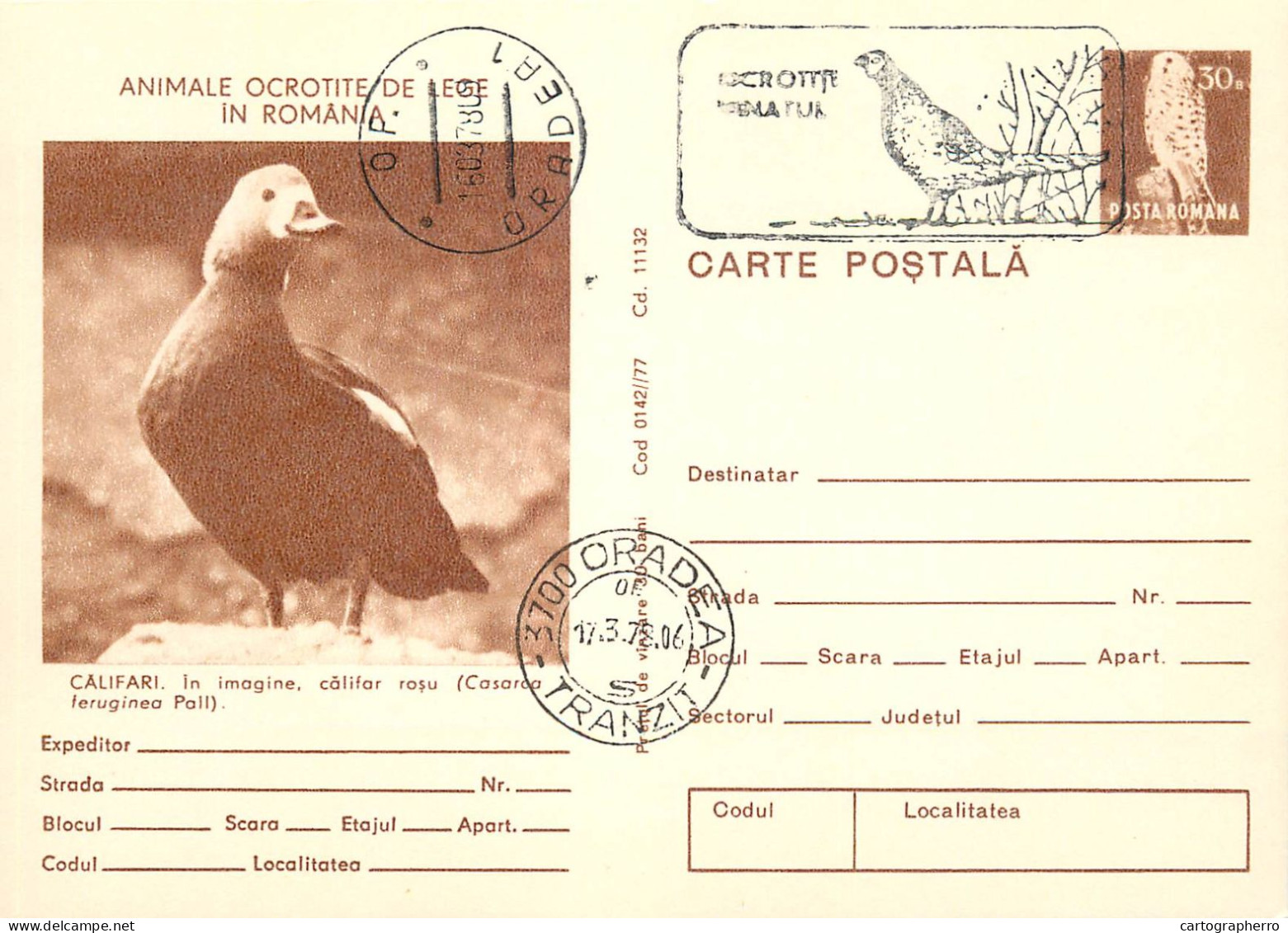 Animals protected by law in Romania set of 20 postal stationery cards 1980