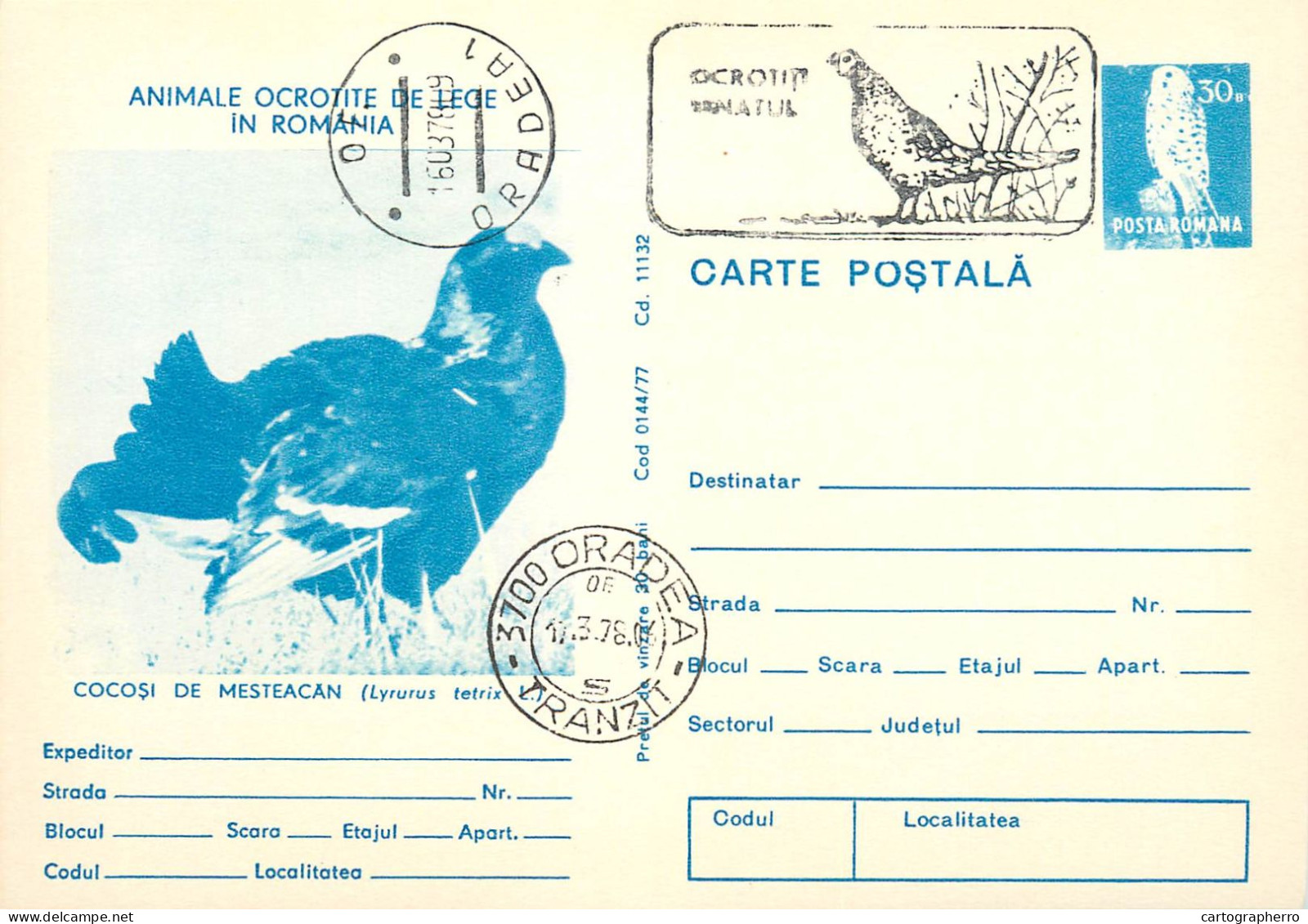 Animale ocrotite de lege in Romania stationery postcards set of 20