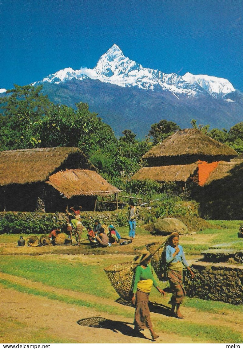 POST CARD - NEPAL - Machhapuchhare From Pokhara Valley Bhim Ratna Harsha Ratna New Hotel Crystal Kathmandu - Népal