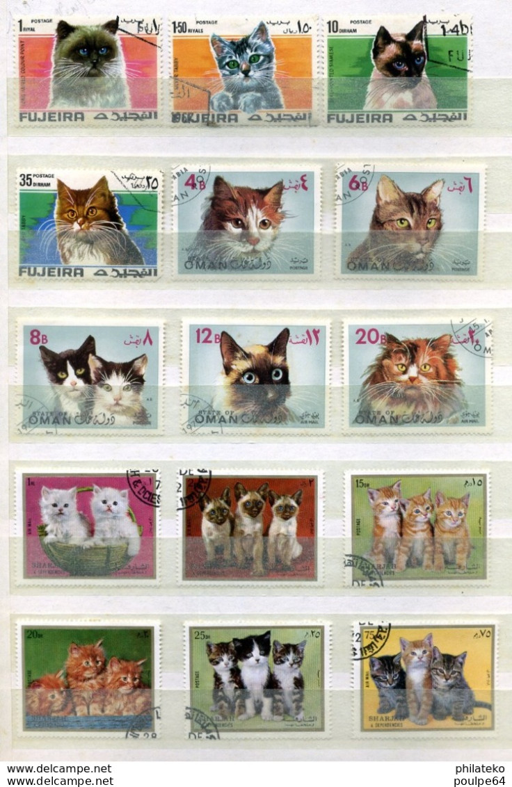 77 Timbres Oblitérés De Chats - Chats Domestiques