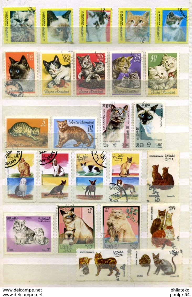 77 Timbres Oblitérés De Chats - Chats Domestiques