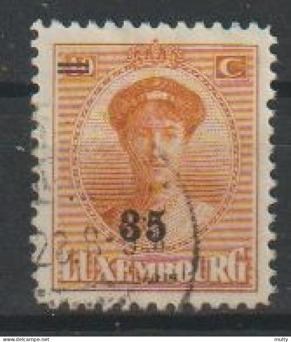 Luxemburg Y/T 198 (0) - 1921-27 Charlotte Frontansicht