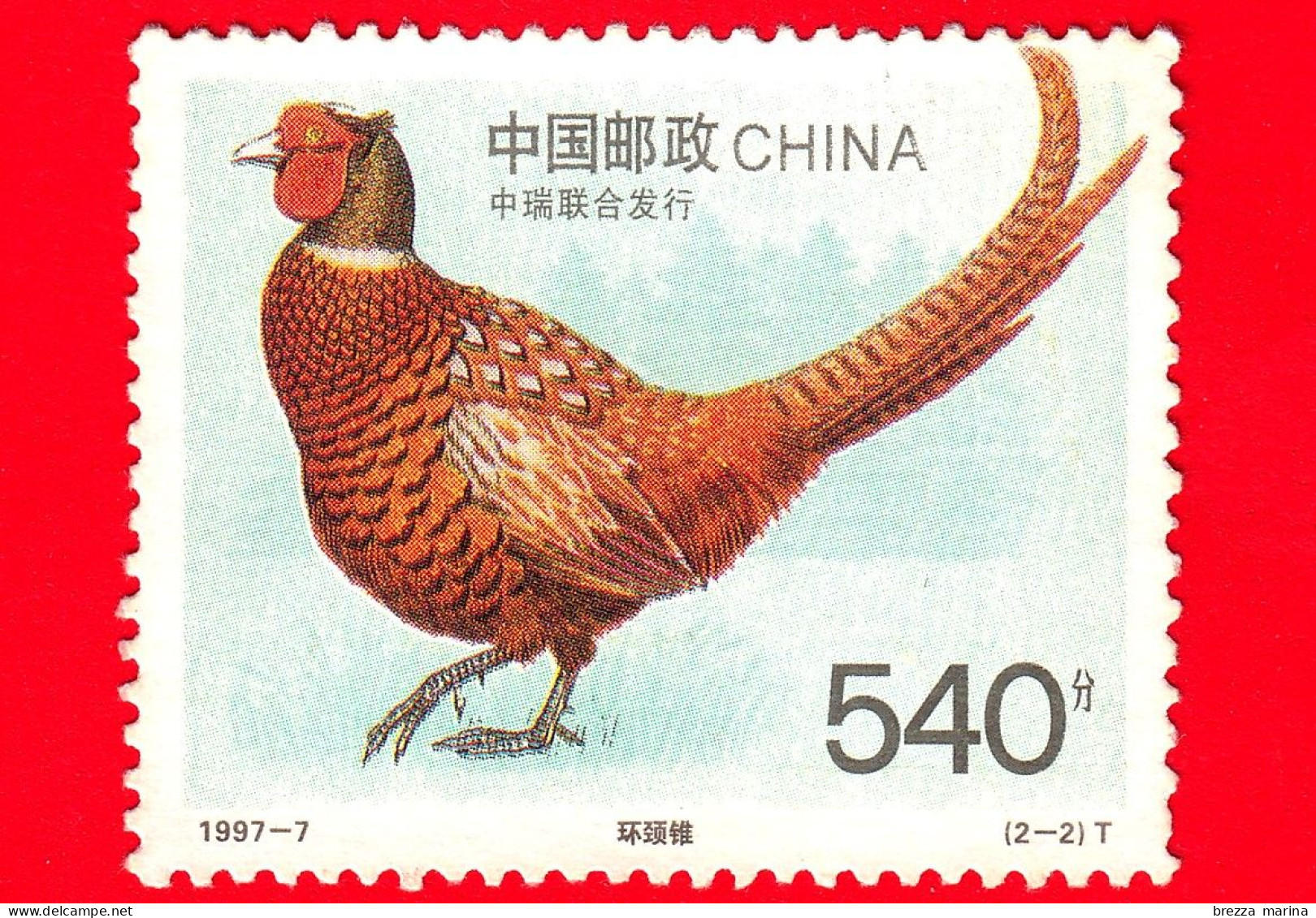 CINA - Usato - 1997 - Uccelli - Fagiano - Common Pheasant (Phasianus Colchicus) - 540 - Gebraucht