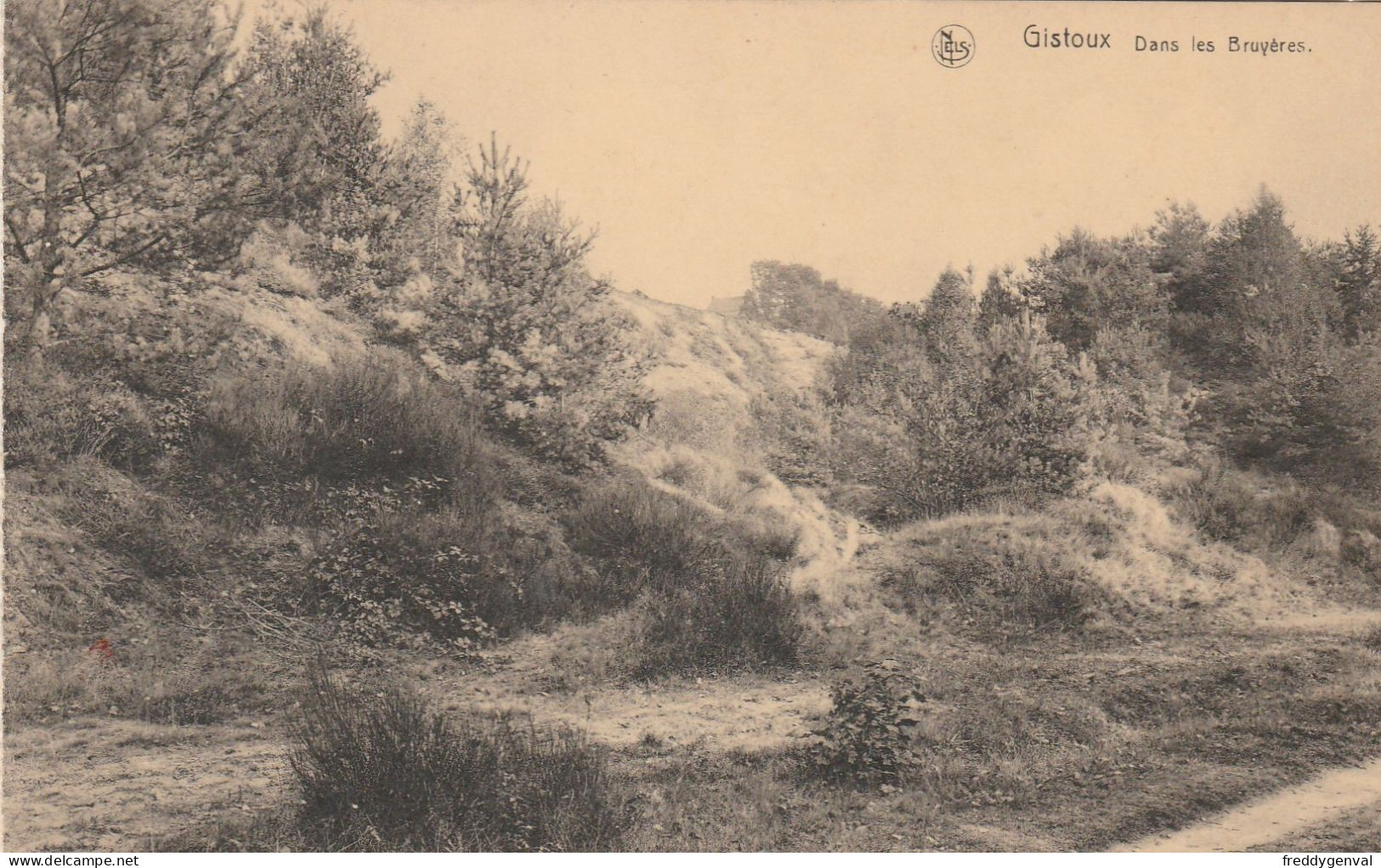 CHAUMONT GISTOUX DANS LES BRUYERES - Chaumont-Gistoux