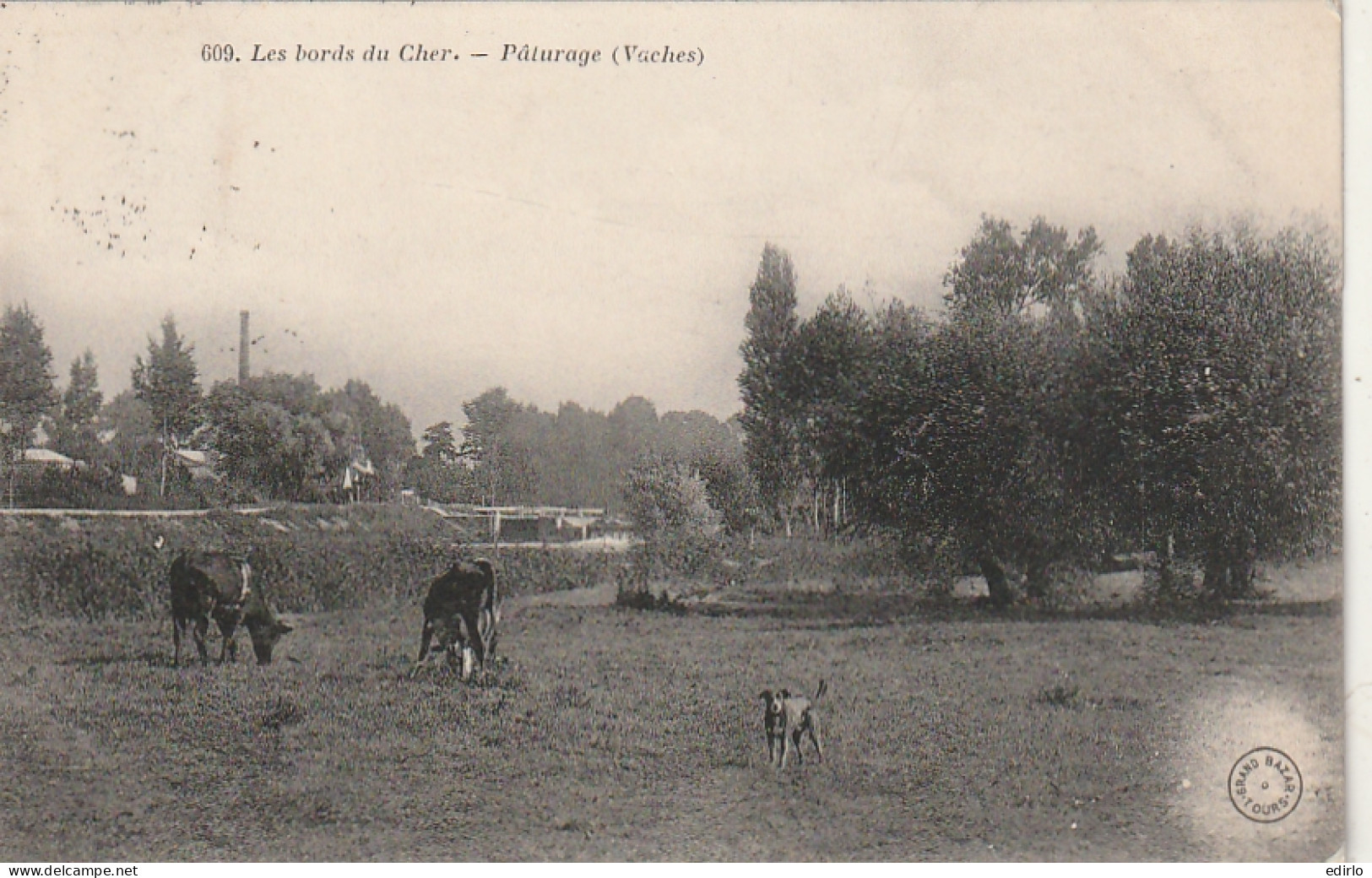 ***  18 *** ELEVAGE ***  Les Bords Du Cher Pâturage -   Timbrée TTB  - Viehzucht