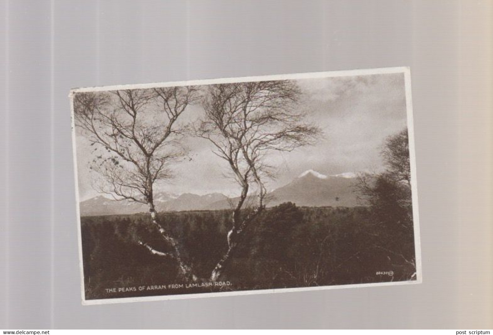 Royaume-Uni - Ecosse - The Peaks Of Arran From Lamlash Road - Ayrshire