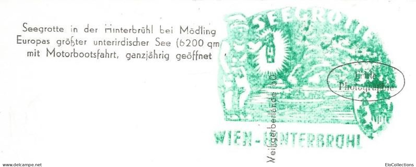 Cp, Autriche,Seegrotte Hinterbruhl,  Vierge, 2 Scans - Mödling