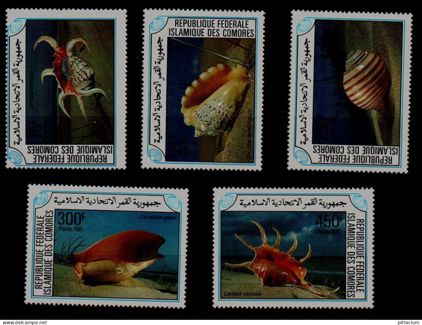 Komoren 1985:  MichelNr.: 746 Bis 750, Postfrisch | Weichtiere, Meeresschnecken, Schnecken - Comores (1975-...)