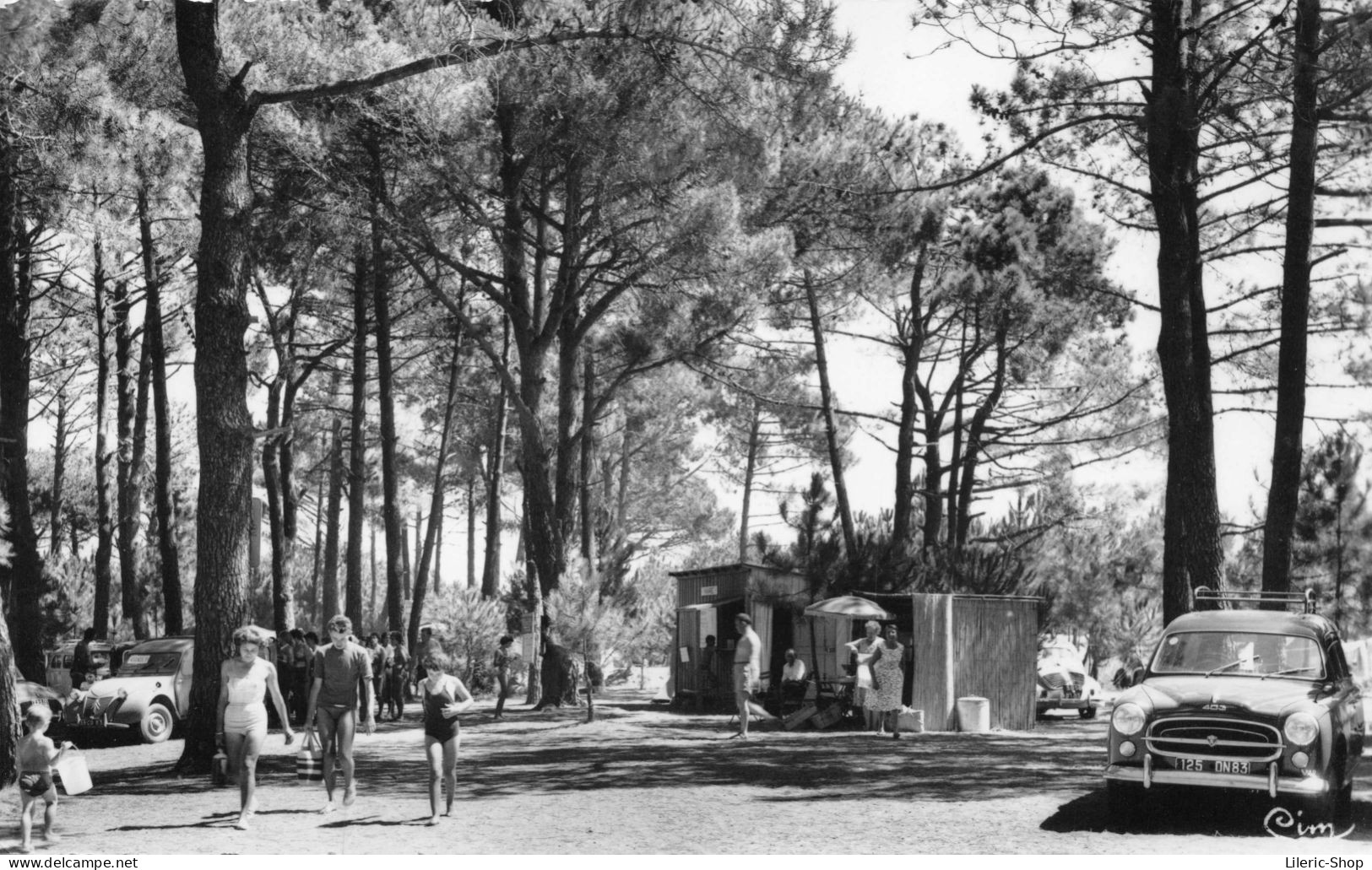 LA LONDE-les-MAURES (Var) 821 Camping Le Pansard - # Automobile Peugeot 403 # Cpsm PF ± 1960 - La Londe Les Maures