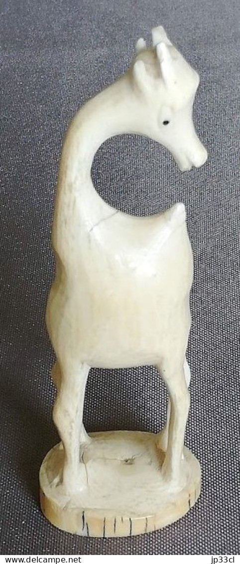 Petite Girafe (matière à Identifier : Ivoire ?) - African Art