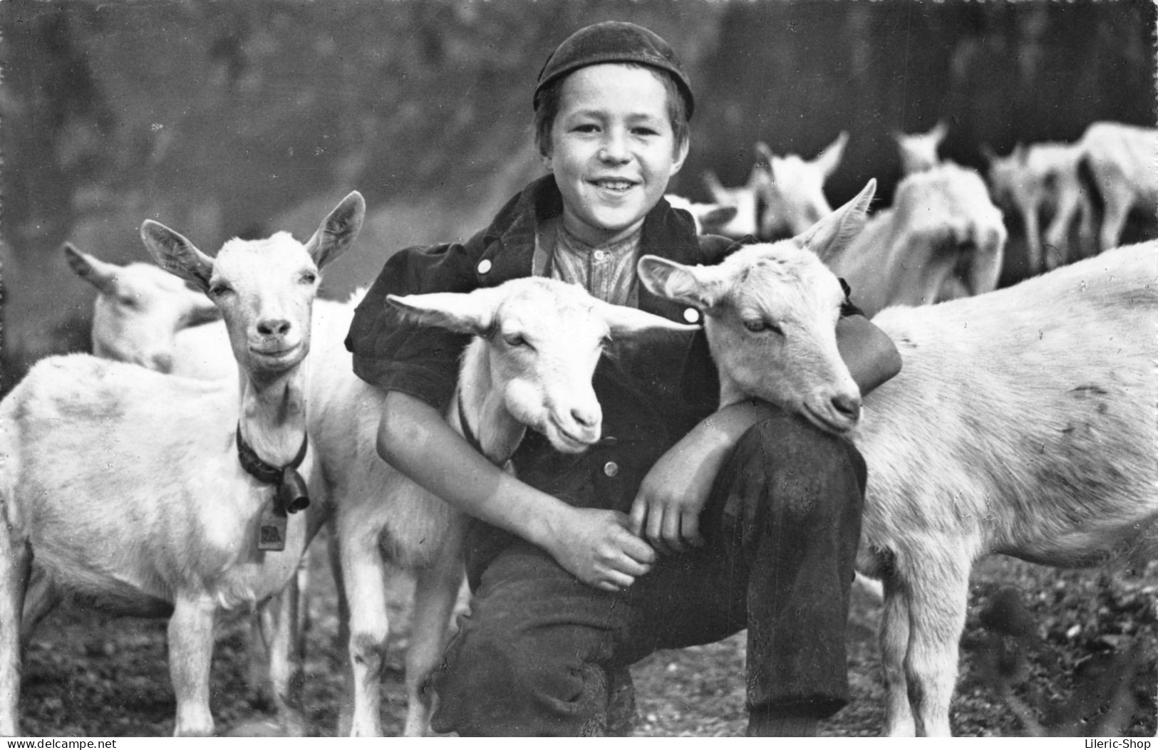 Jeune Chevrier Suisse Entouré De Ses Chèvres Cpsm PF ± 1960 - Allevamenti