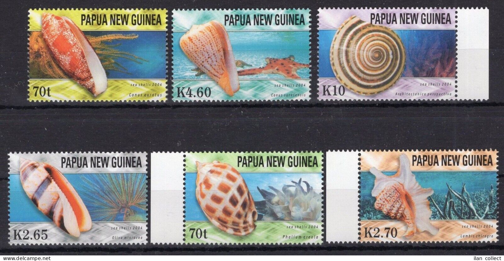 Papua New Guinea - Shells - Stamps - Timbres MNH** RR3 - Fossilien
