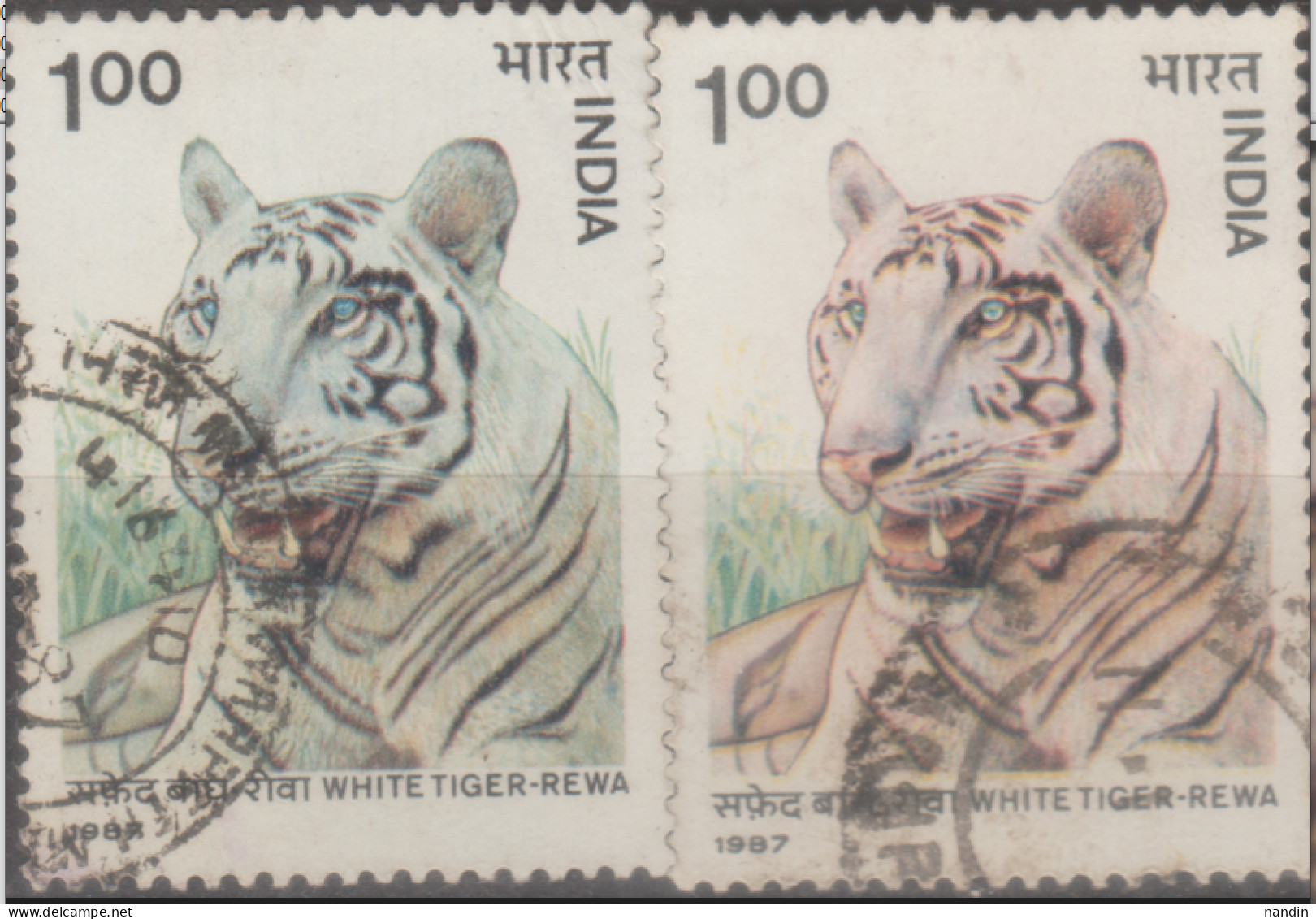 INDIA USED STAMP IN TWO DIFFERENT SHADES ON WHITE TIGER/	Fauna/Mammals/Tigers/Panthera Tigris - Collections, Lots & Séries