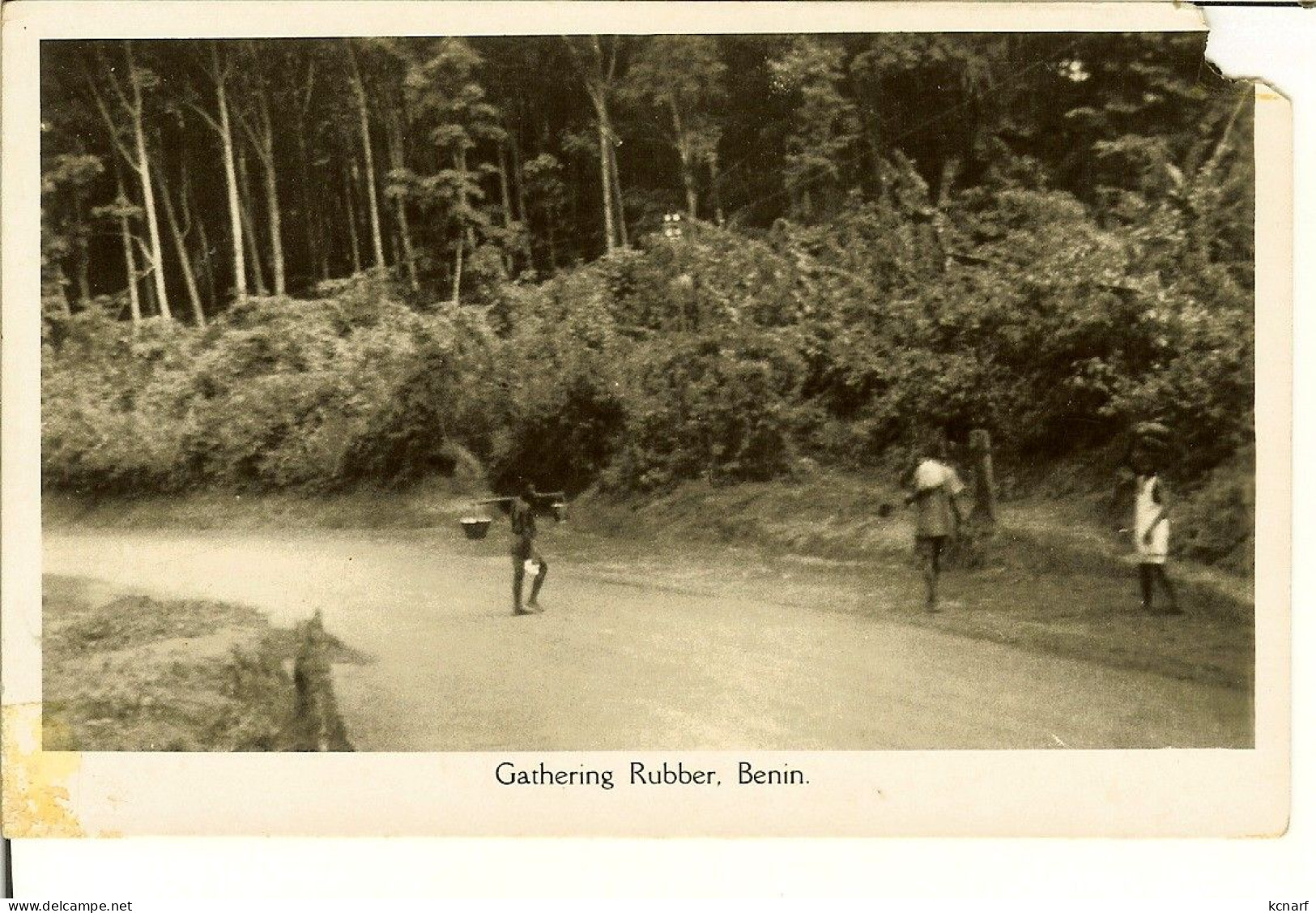 CP De Gathering Rubber , BENIN - Benin