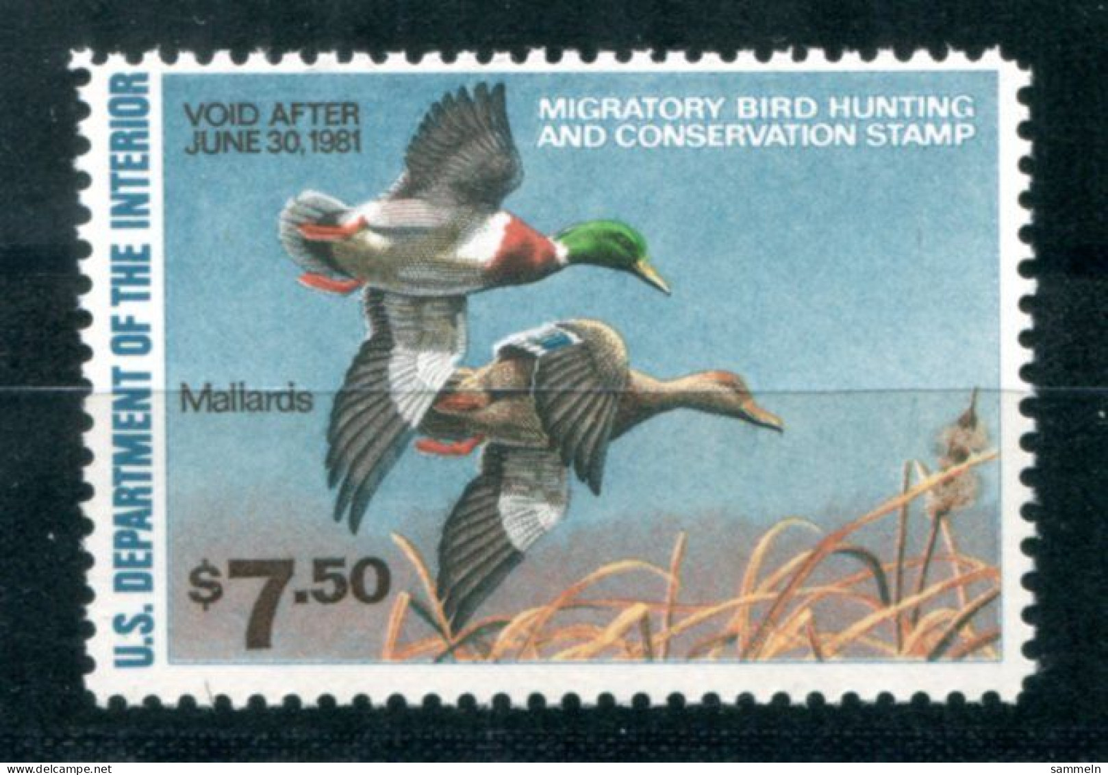 USA - Duck Stamp Mnh - Void After June 30,1981 - Ente, Canard - ETATS-UNIS - Duck Stamps