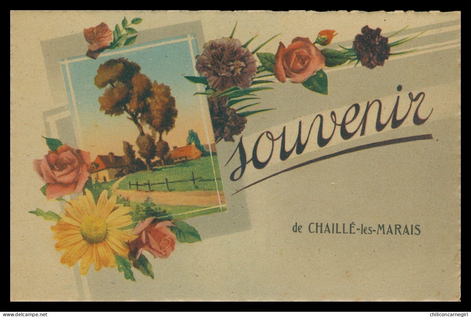 * Fantaisie - Illustration - Souvenir De CHAILLE LES MARAIS - Fleurs - Champ - Edit. ROB - Chaille Les Marais