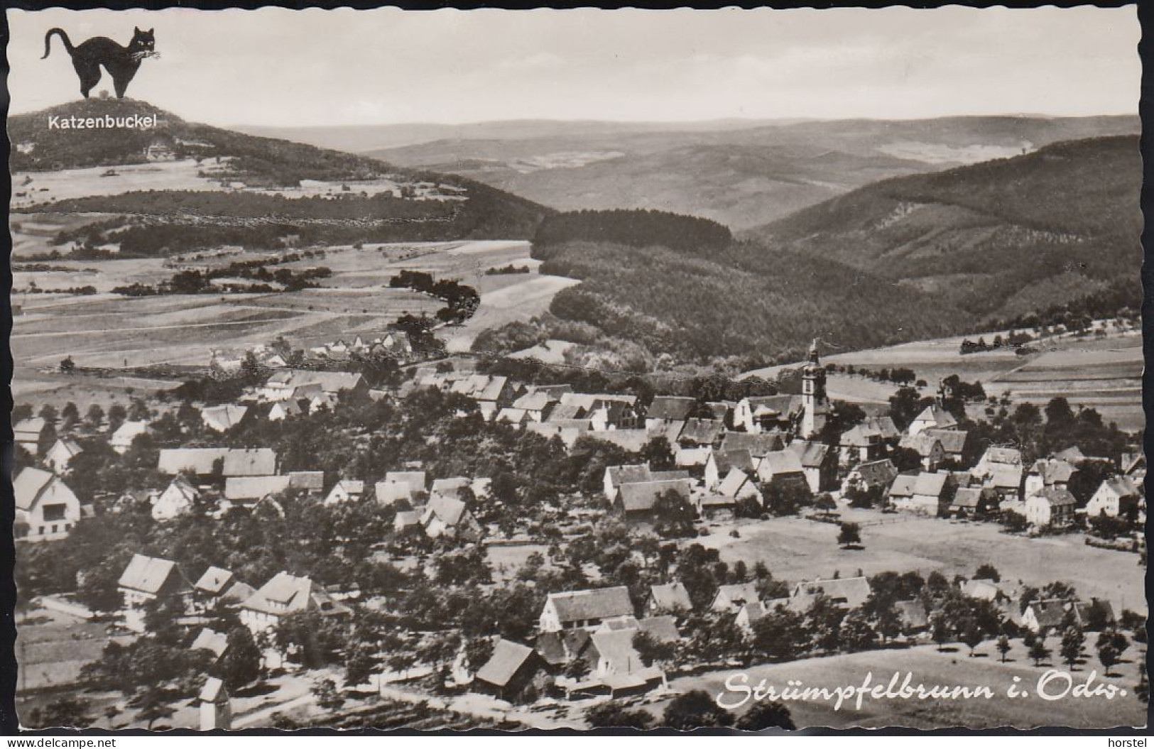 D-69429 Waldbrunn - Strümpfelbrunn - Alte Ortsansicht Mit Kirche - "Katzenbuckel " - Waldbrunn