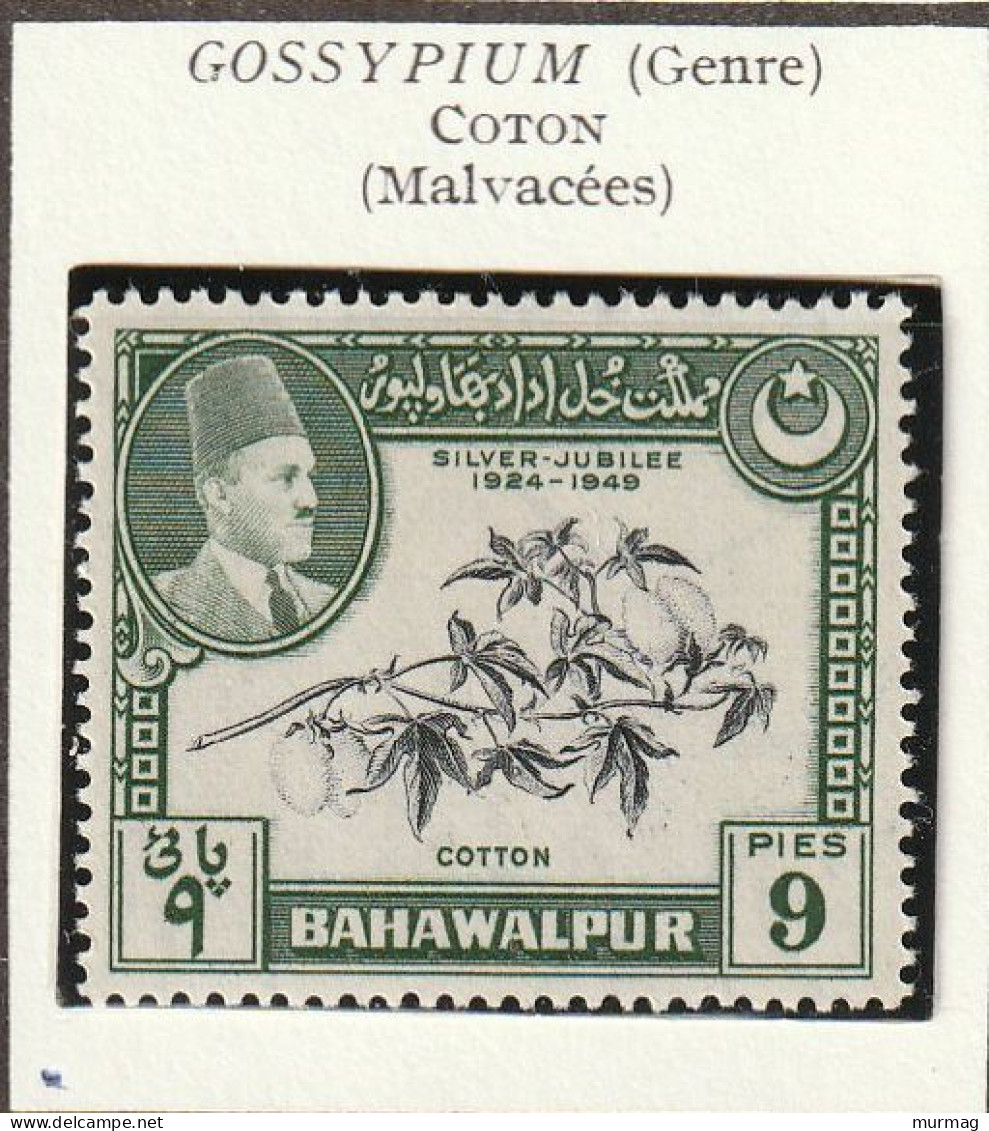 BAHAWULPUR - Coton - N° 20 - 1949 - MNH - Bahawalpur