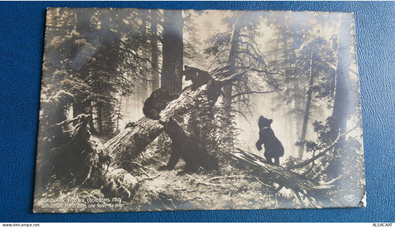 Carte Photo De Russie , Matin Dans Une Forêt , Une Famille D'ours - Russie