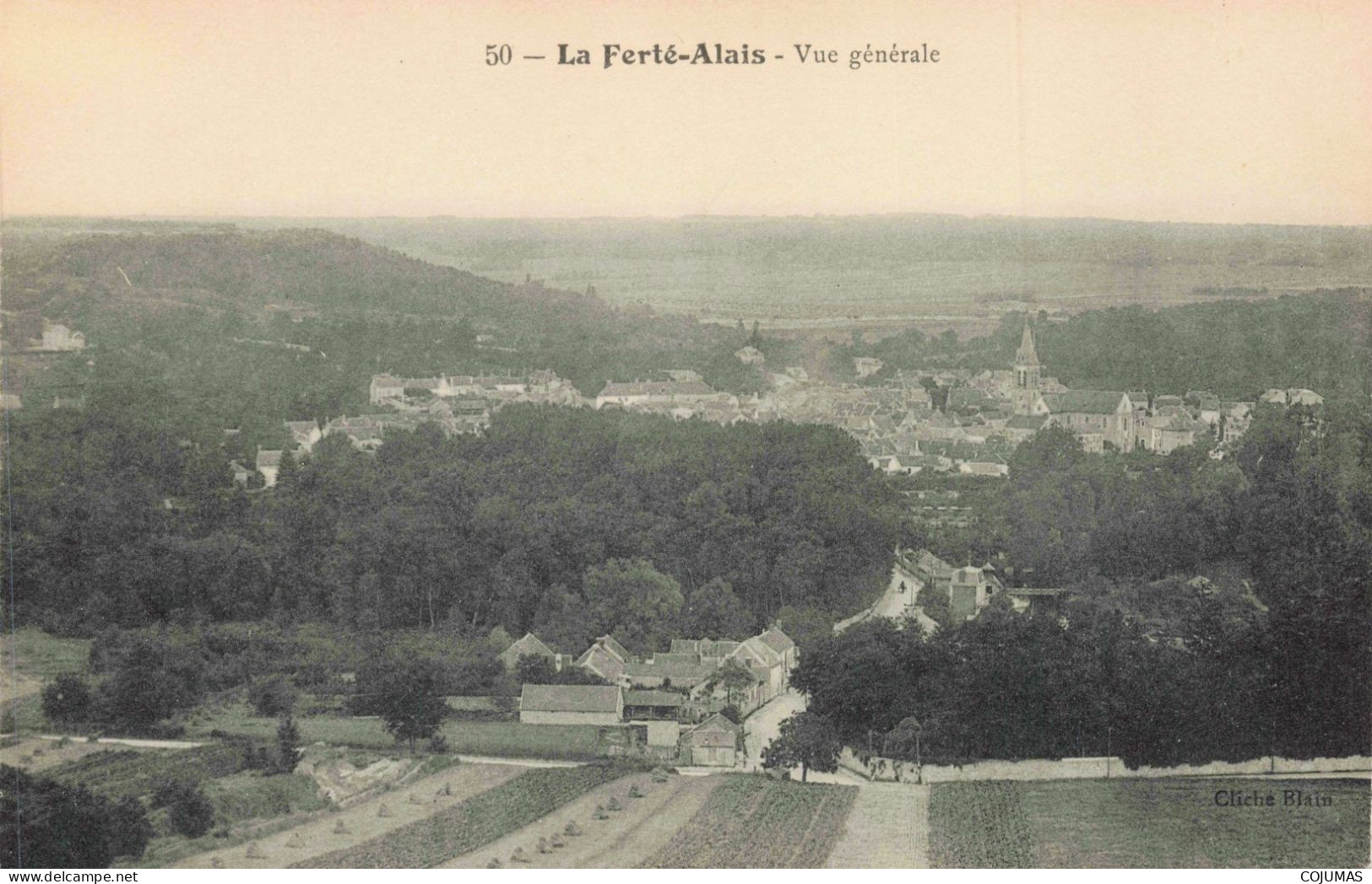 91 - LA FERTE ALAIS _S22745_ Vue Générale - La Ferte Alais