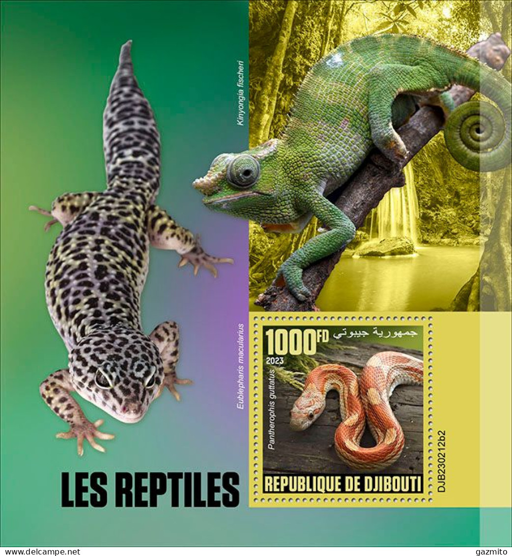 Djibouti 2023, Animals, Reptiles, Iguana, Snake, BF - Serpents