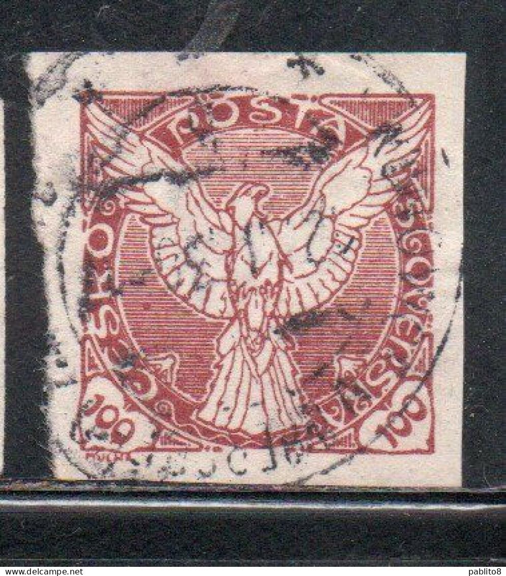 CZECHOSLOVAKIA CESKA CECOSLOVACCHIA 1918 1920 IMPERF. NEWSPAPER STAMPS WINDHOVER 100h USED USATO OBLITERE' - Newspaper Stamps