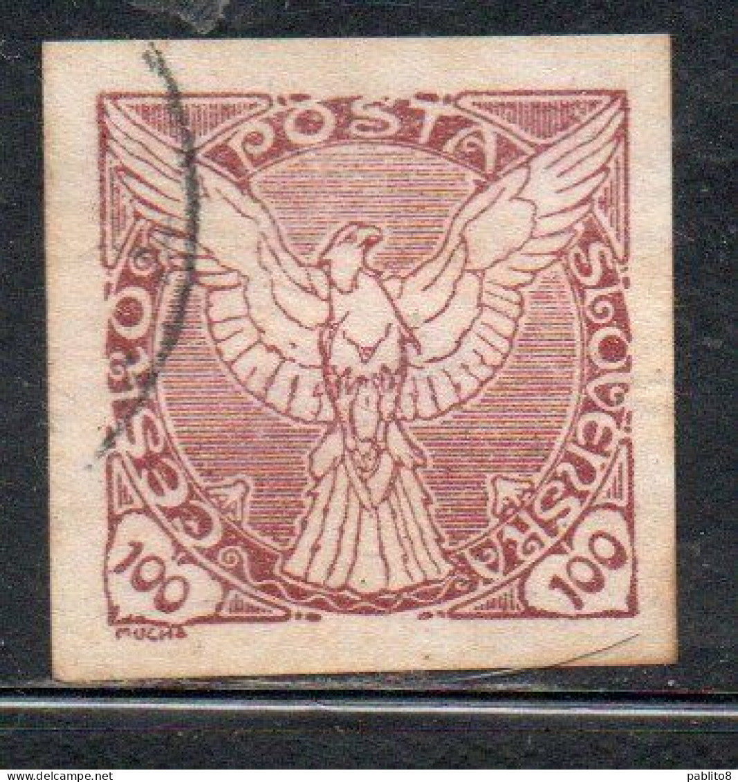 CZECHOSLOVAKIA CESKA CECOSLOVACCHIA 1918 1920 IMPERF. NEWSPAPER STAMPS WINDHOVER 100h USED USATO OBLITERE' - Francobolli Per Giornali