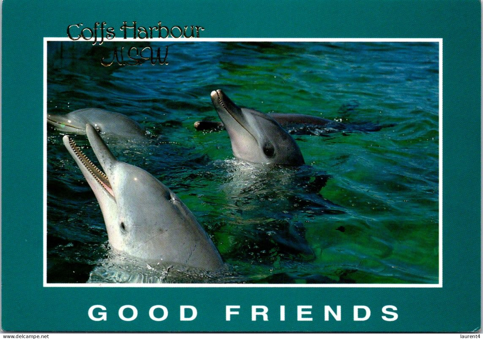 6-10-2023 (3 U 31) Australia - NSW - Coffs Harbour (Dolphin) Posted 1995 With Koala Stamp - Dauphins