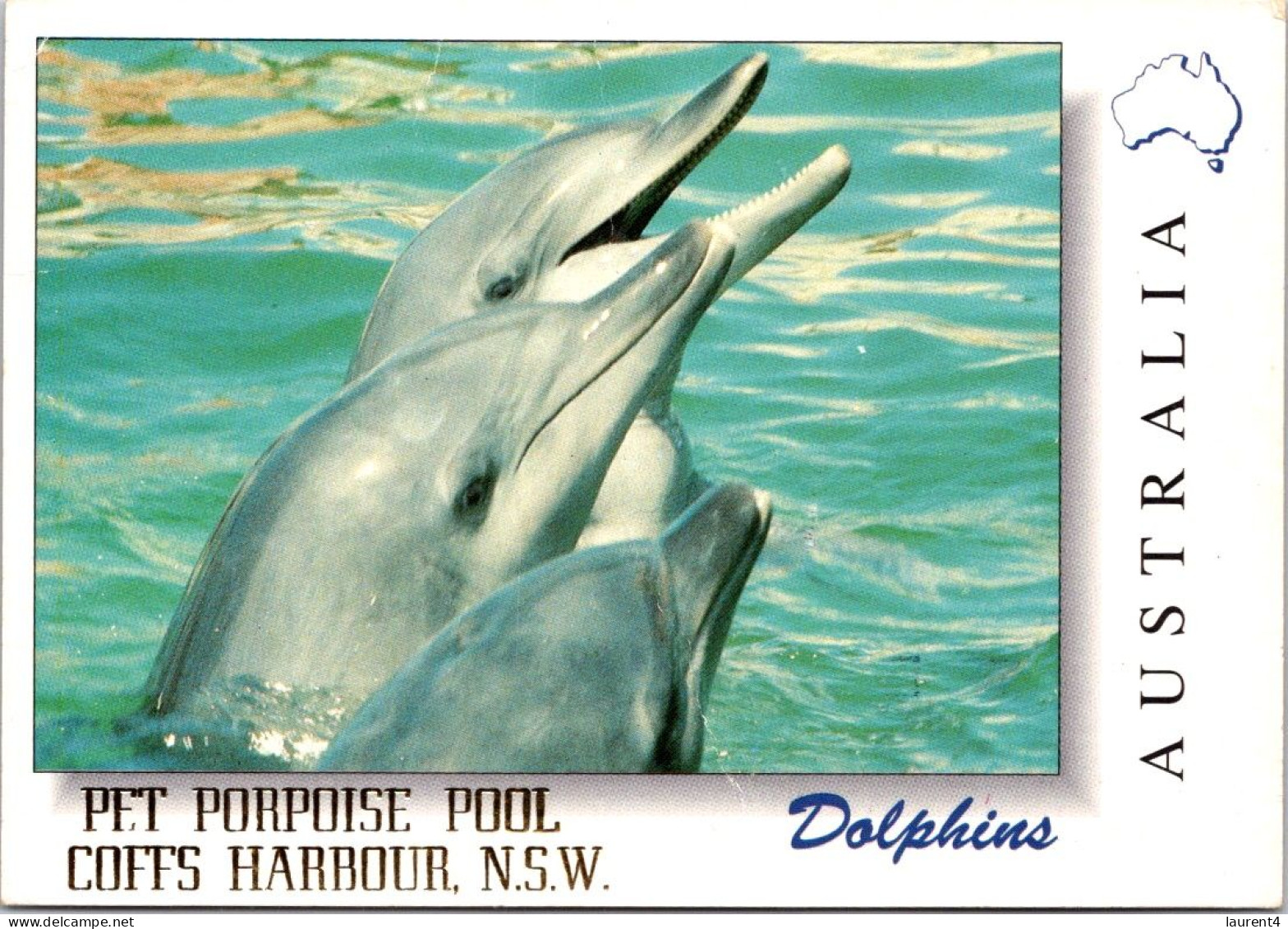 6-10-2023 (3 U 31) Australia - NSW - Coffs Harbour (Dolphin) Posted With Koala Stamp / Folded) - Dolphins