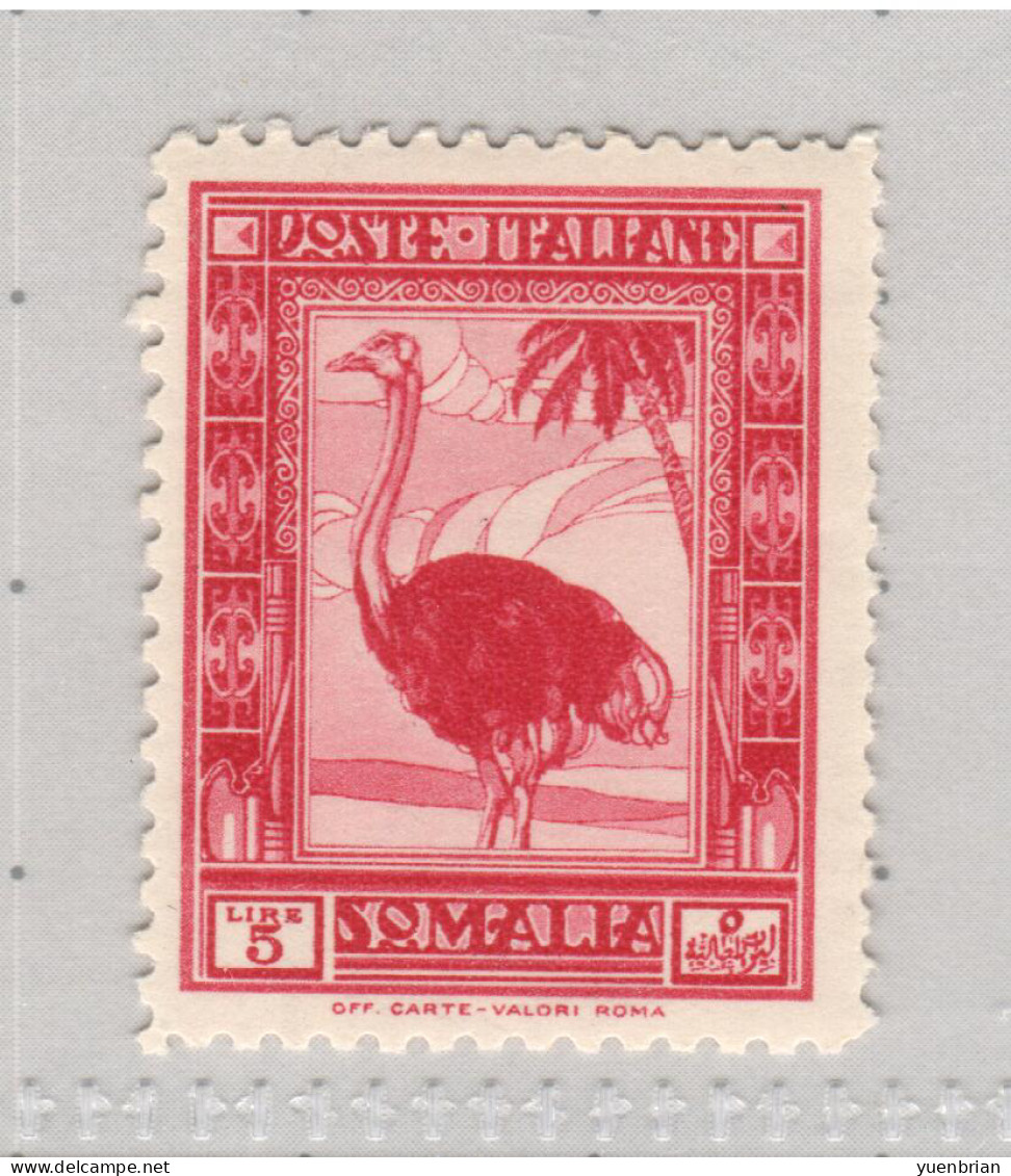 Somalia 1932, Bird, Birds, 5li Ostrich, MNH** - Struisvogels